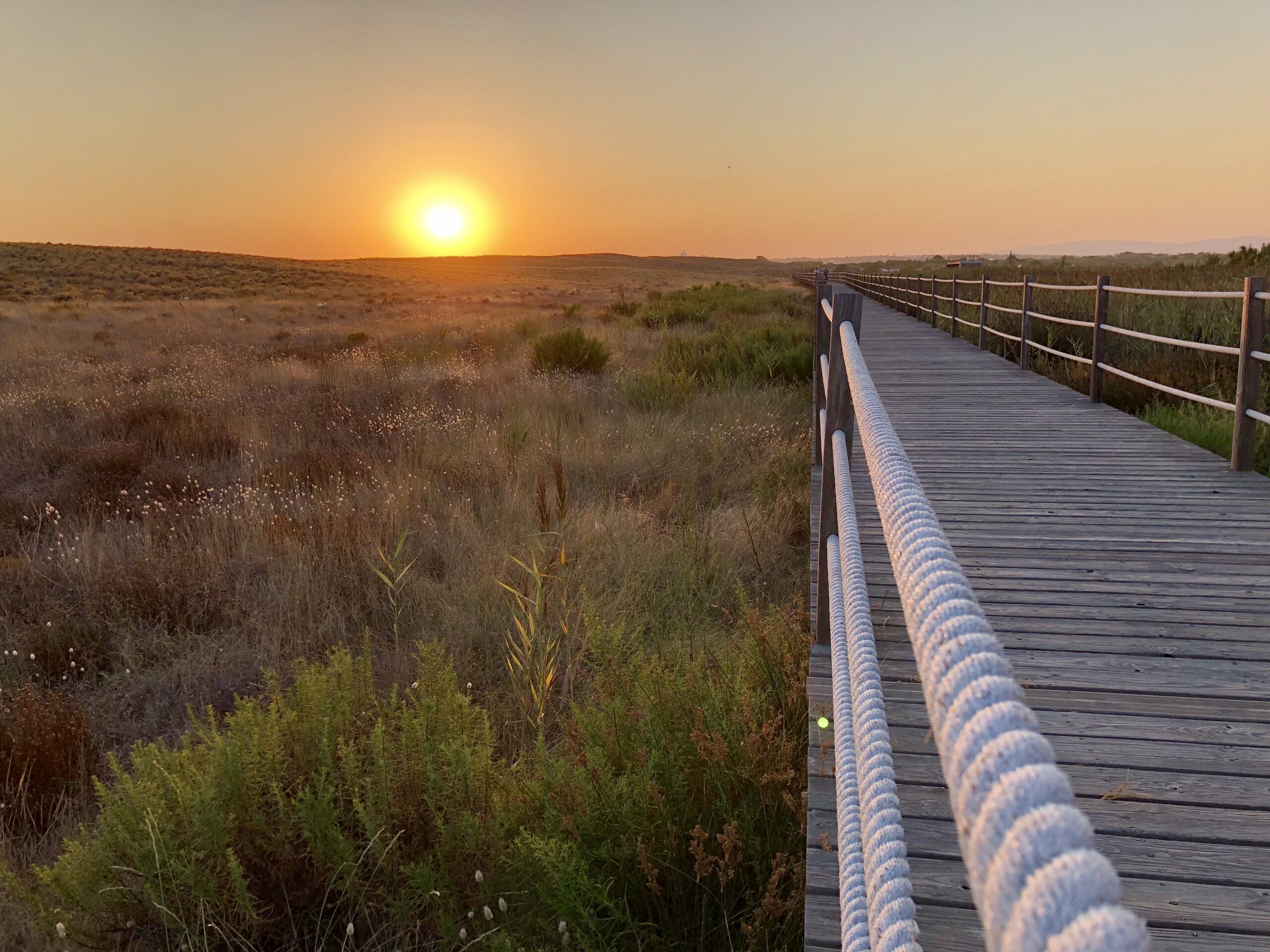Scenic beachside wooden pathway along the natural reserve of Salgados Lagoon