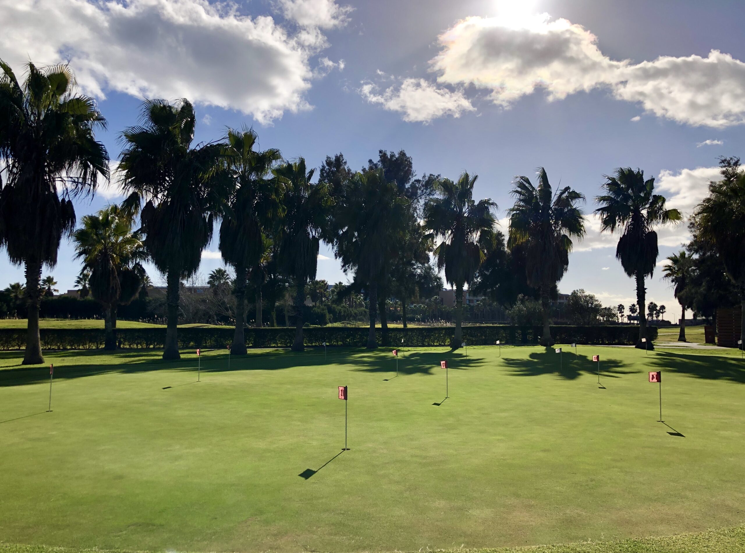 Vista do campo de golfe com palmeiras no Salgados Golf Course, Albufeira, Algarve